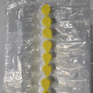 Bag in Box Beutel 10 Liter mit Schnabelausgiesser