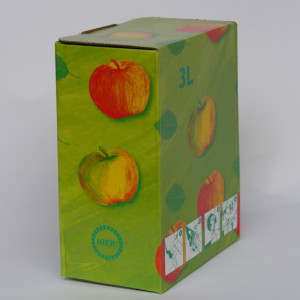 Bag in Box Karton 3 Liter - grün