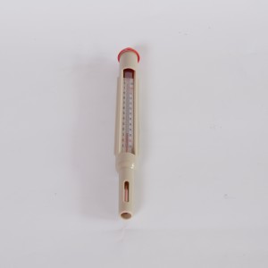 Thermometer in plastic case